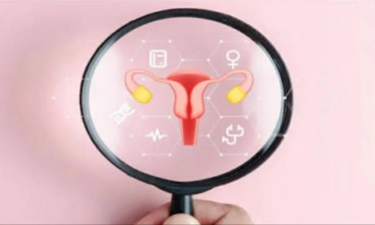 Sahebganj News : सर्वाइकल कैंसर से बचाव के लिए स्वास्थ्य विभाग की पहल, 30 मार्च से शुरू होगा HPV टीकाकरण अभियान