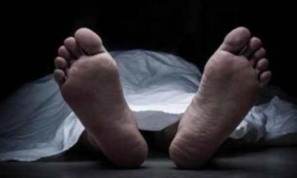 Palamu News : ईद की खुशियां मातम में बदली, मधुमक्खियों के हमले से बचने के प्रयास में युवक ने गंवाई जान