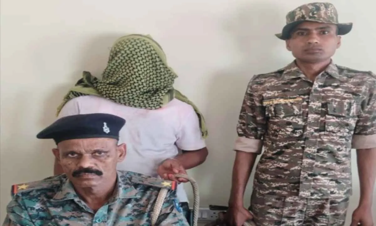 Palamu News: पुलिस ने गौ-तस्करी के बड़े गिरोह का किया भंडाफोड़, 7 गोवंशीय पशु बरामद