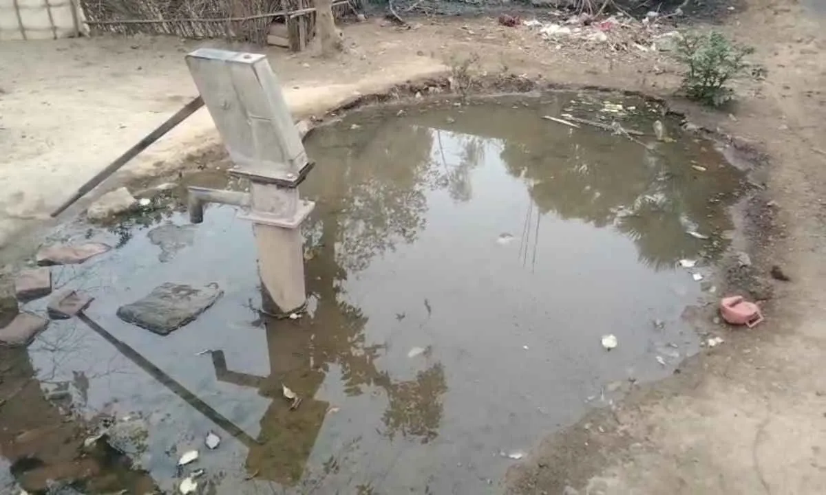 Pakur News: चापाकल का पानी पीने योग्य नहीं, सोख्ता निर्माण की मांग