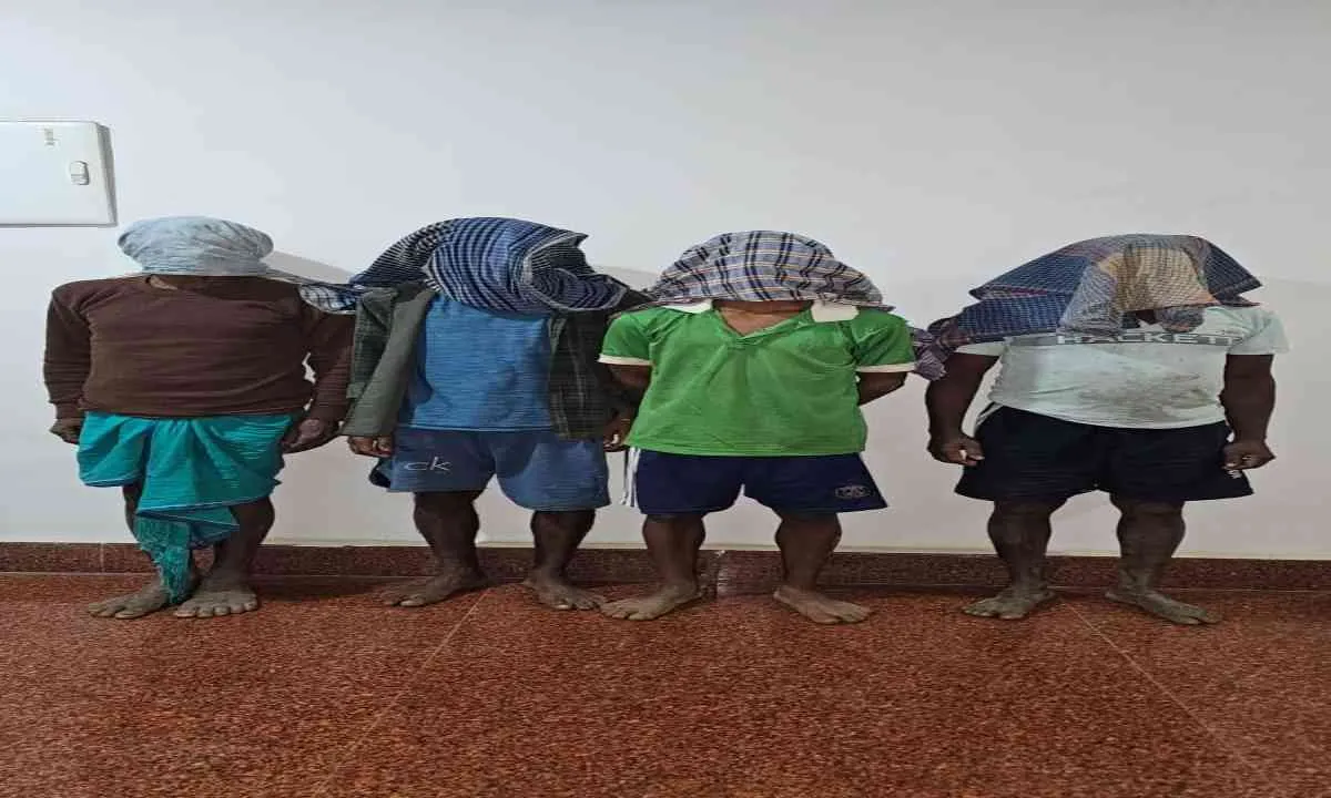 Pakur News: ताड़ का पेड़ काटने को लेकर विवाद, महिला की मौके पर ही मौत