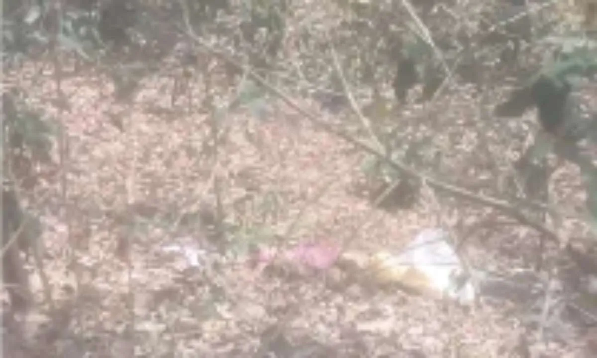 Koderma News: मेघातरी के पास बोरे में बंद मिला महिला का अर्धनग्न शव, हत्या या साजिश?