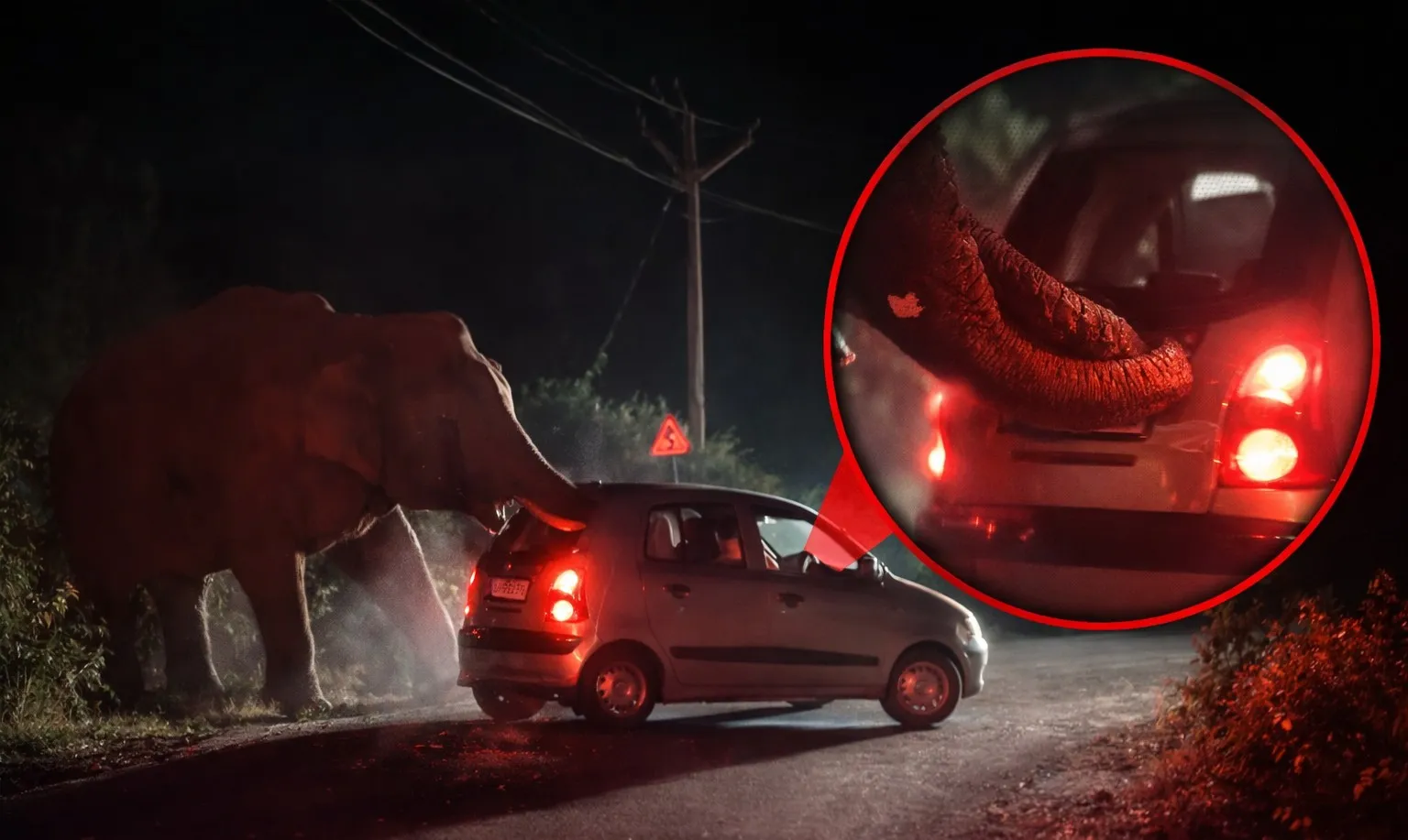 गुस्से में बेकाबू हुआ विशालकाय हाथी, सड़क पर कार को सूंड से हिलाया, देखें वीडियो 