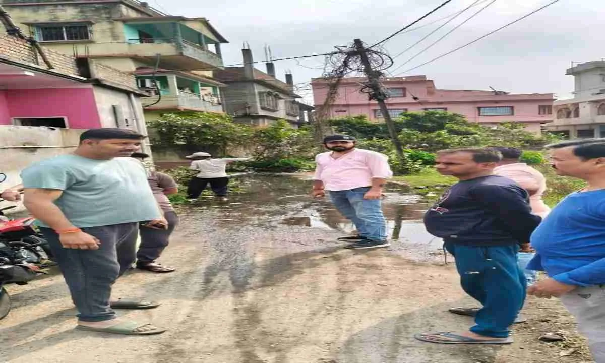 Pakur News: कृष्णा पुरी कॉलोनी में जल जमाव की समस्या पर निरीक्षण