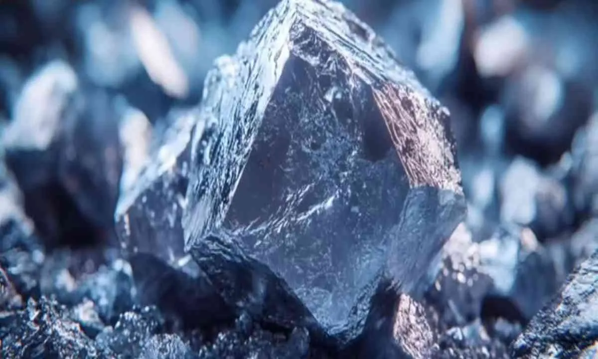 Giridih News:  तीसरी प्रखंड के असुरहड्डी जंगल में मिला लिथियम का भंडार, GSI कर रही जांच     