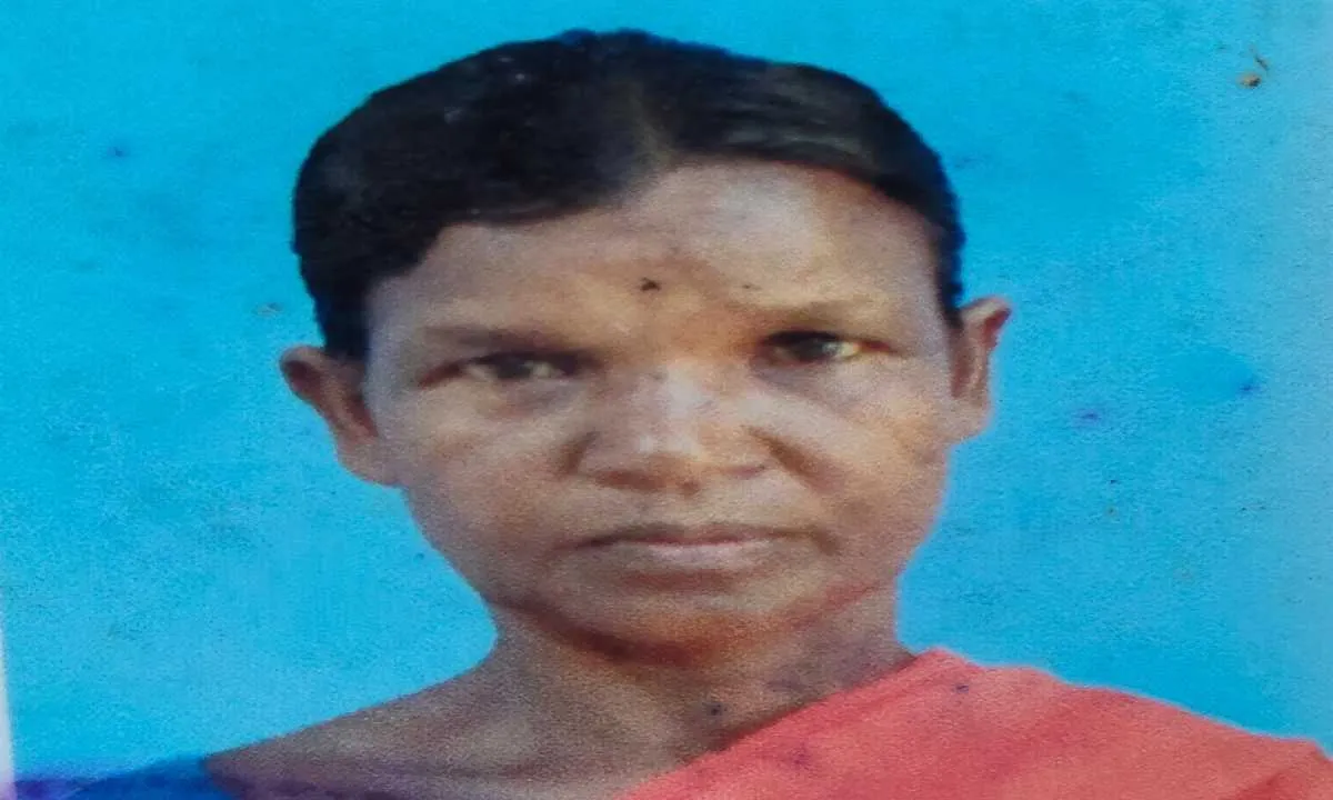 Chaibasa News: बरकुंडीय में जंगली हाथी का हमला, बुजुर्ग महिला की मौत, एक घायल 