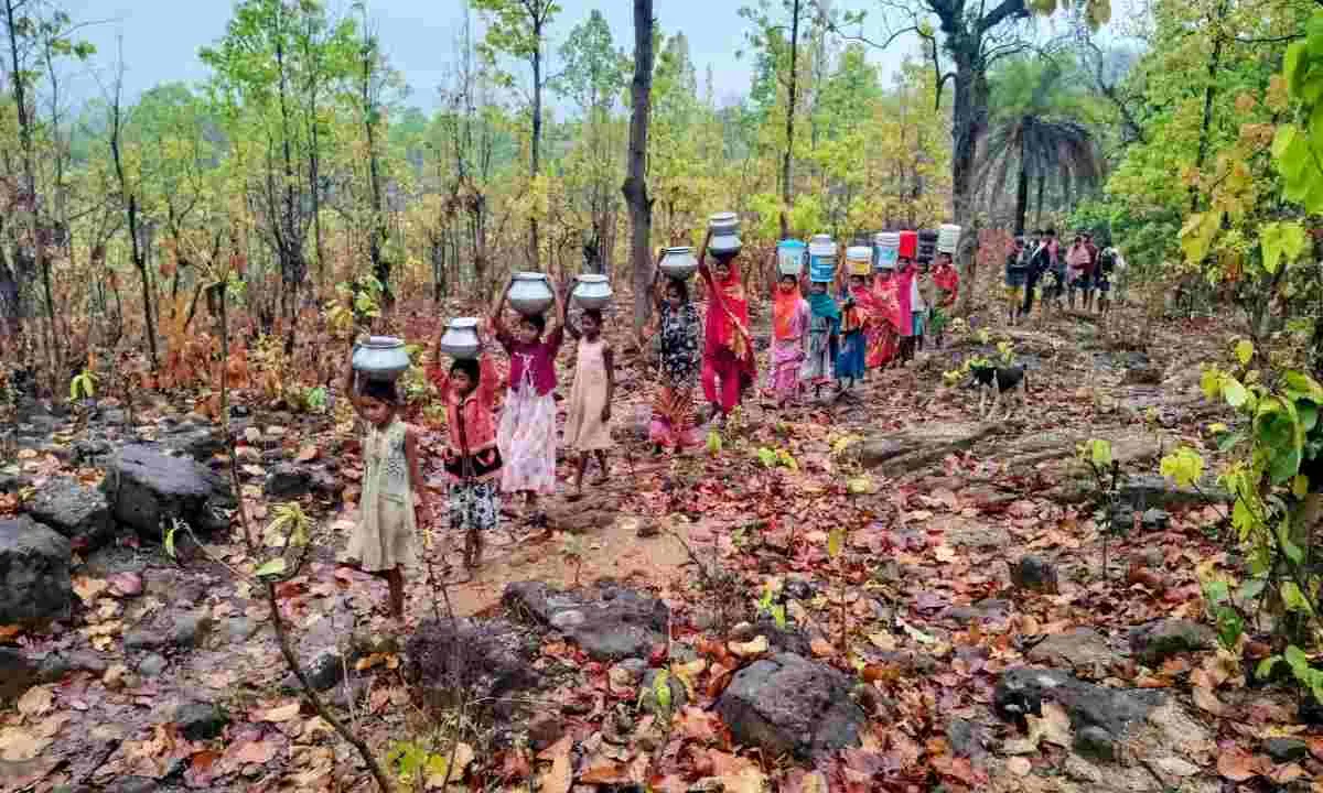 Dumka News: चापाकल बंद, सोलर टंकी बेकार—पानी के लिए तरस रहे पहाड़िया टोला के लोग