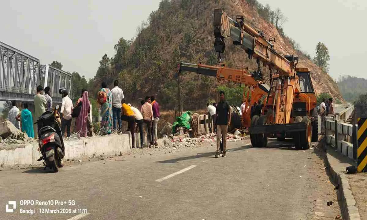 Hazaribagh News: रैलिंग तोड़कर ज्वाहर घाट में गिरा मछली लदा ट्रक