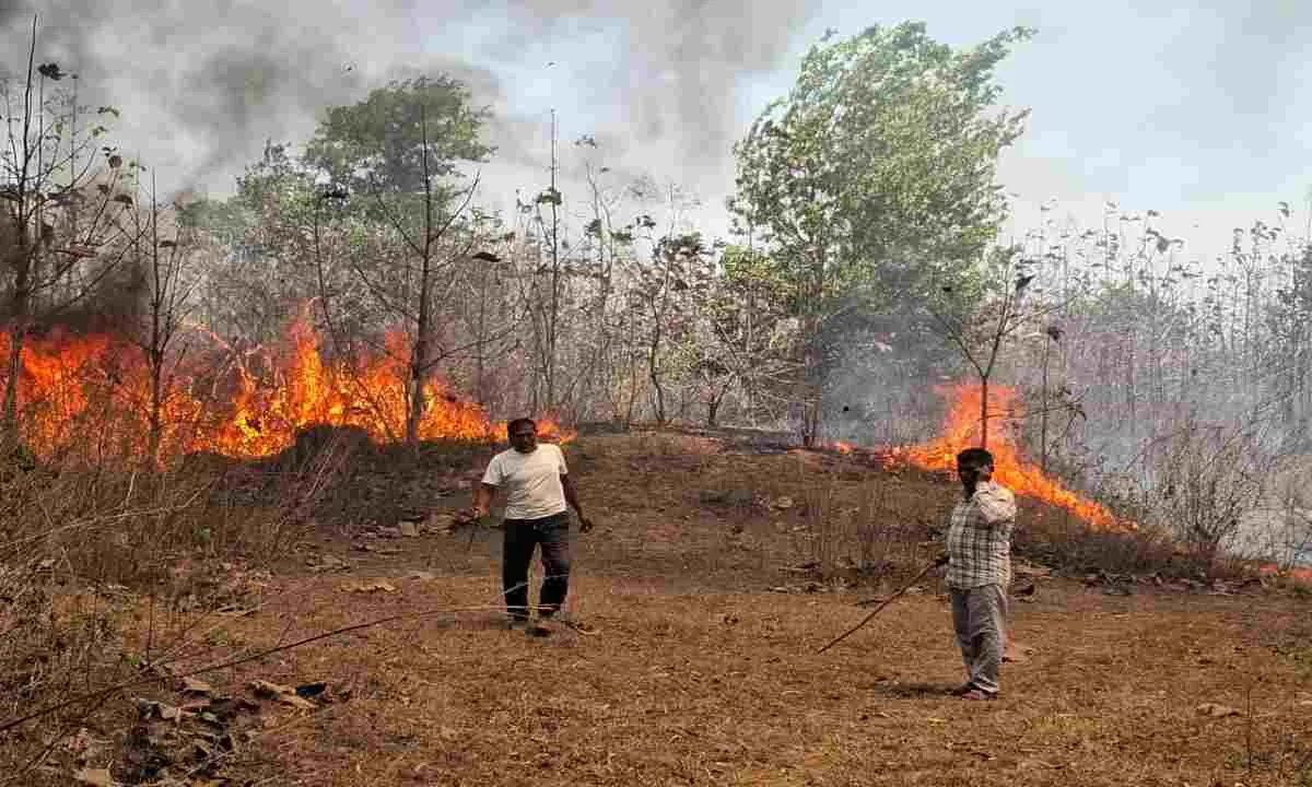 Koderma News: भीषण आग से हड़कंप, दमकल की टीम ने कड़ी मशक्कत के बाद पाया काबू