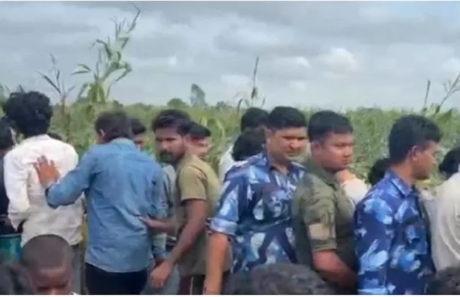 मक्के के खेत में मिला गला कटा शव, उत्तर दिनाजपुर के साहापुर इलाके में दहशत; पुलिस जांच शुरू