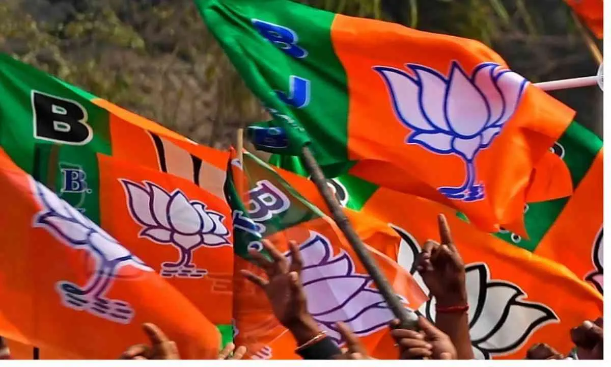 नतीजों से पहले सिलीगुड़ी में भाजपा कार्यकर्ताओं का जश्न, अबीर खेलकर जताया जीत का भरोसा