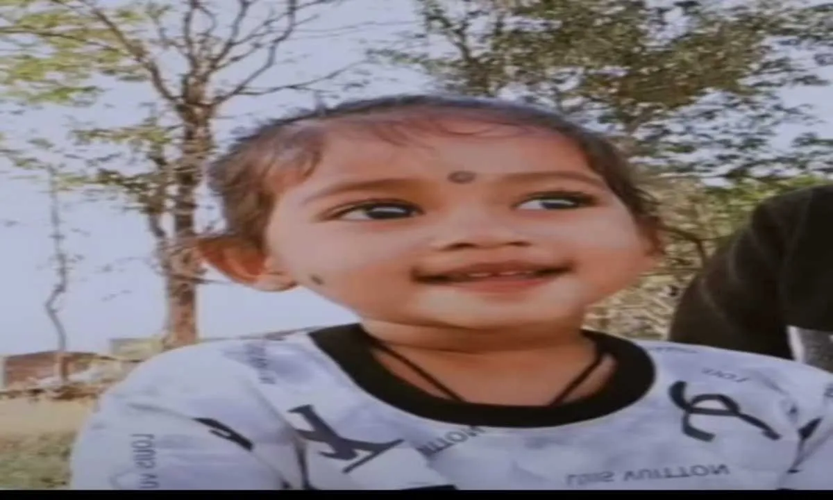 Koderma News: तारपीन तेल पीने से 2 साल की मासूम की मौत, घर में खेलते वक्त हुआ हादसा