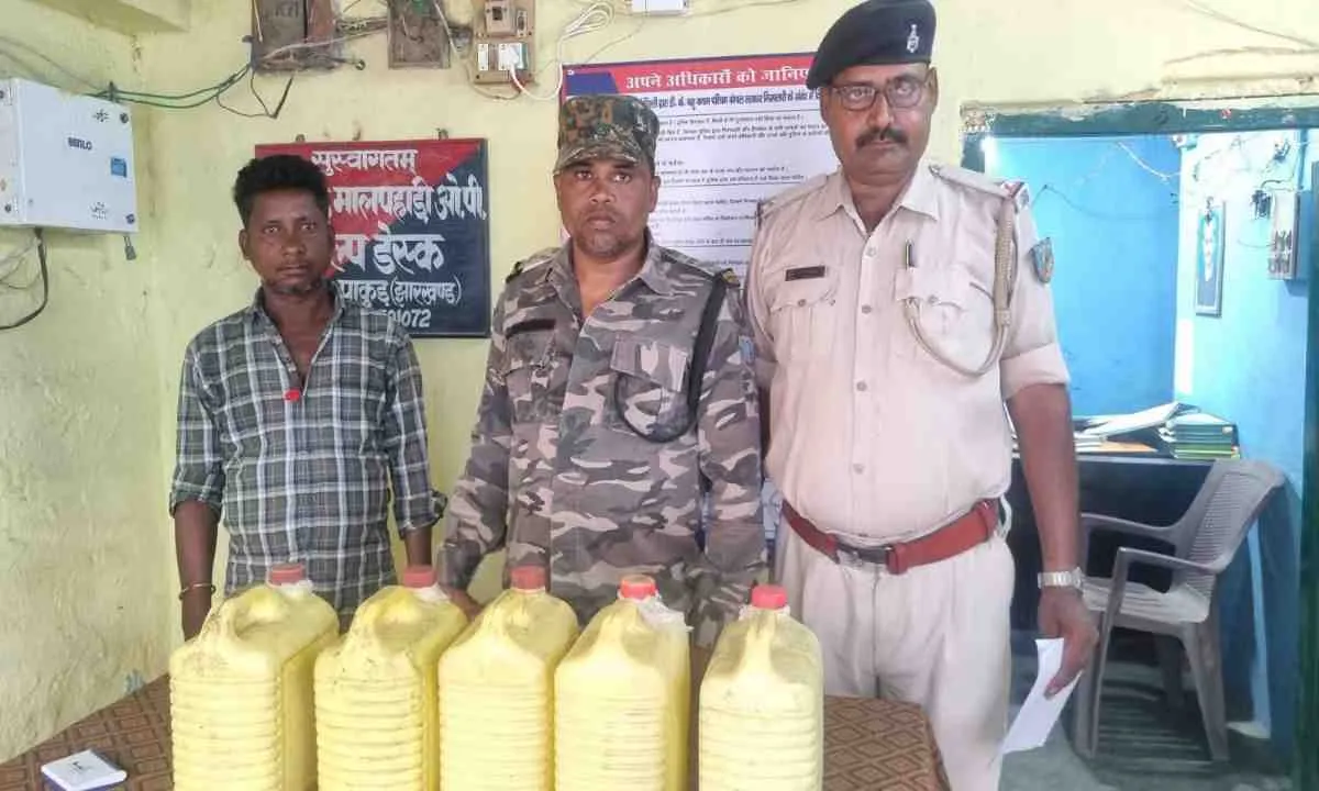 Pakur News: अवैध शराब के साथ एक गिरफ्तार, पुलिस की बड़ी कार्रवाई