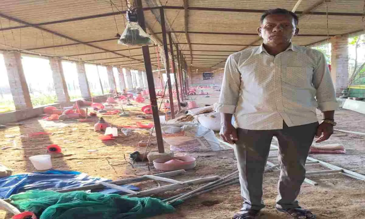 Koderma News: हाथी के उत्पात से लोग परेशान, मुर्गी फार्म में मचाई तबाही