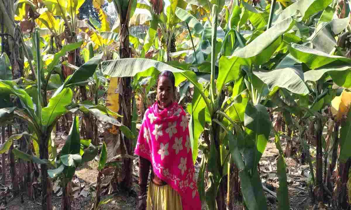 Pakur News: संघर्ष से सफलता तक: सुहागिनी दीदी की प्रेरक कहानी 