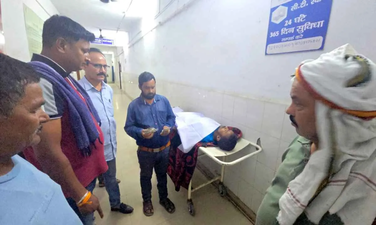 Koderma News: हाथियों का 'खूनी' तांडव: 10 दिनों में 4 लोगों को उतारा मौत के घाट, दहशत में लोग