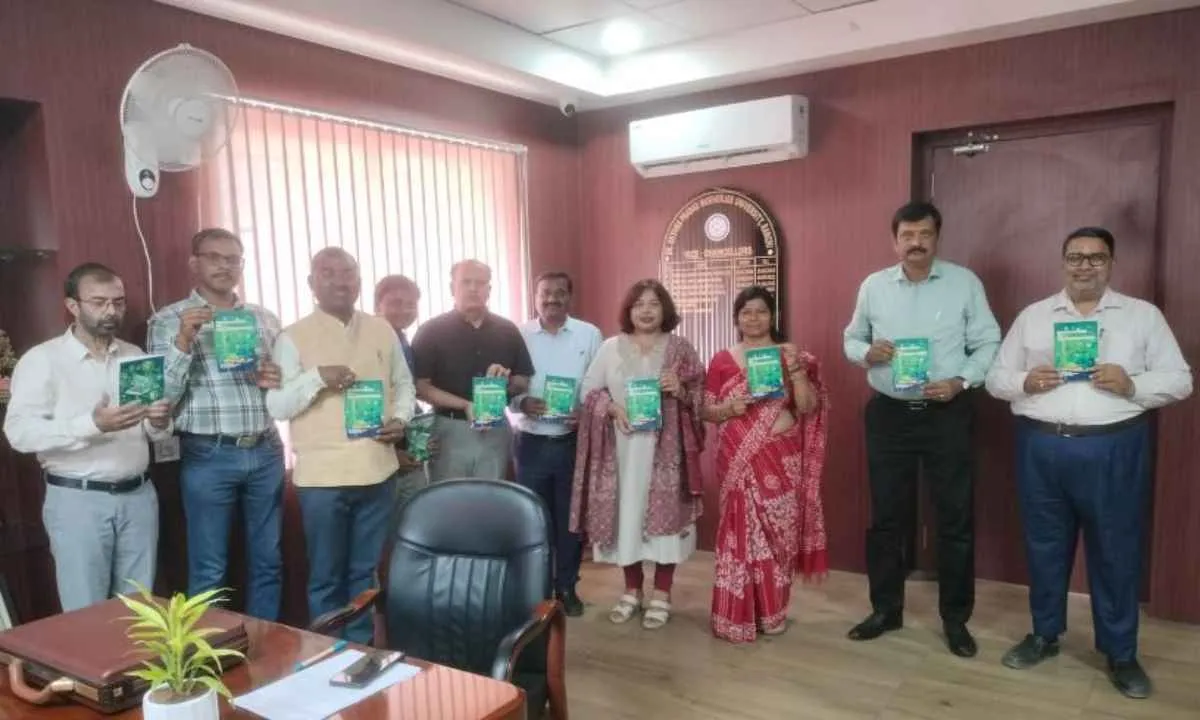 Ranchi News: डॉ. श्यामा प्रसाद मुखर्जी विश्वविद्यालय में ‘कंप्यूटर टेक्नोलॉजी’ पुस्तक का विमोचन