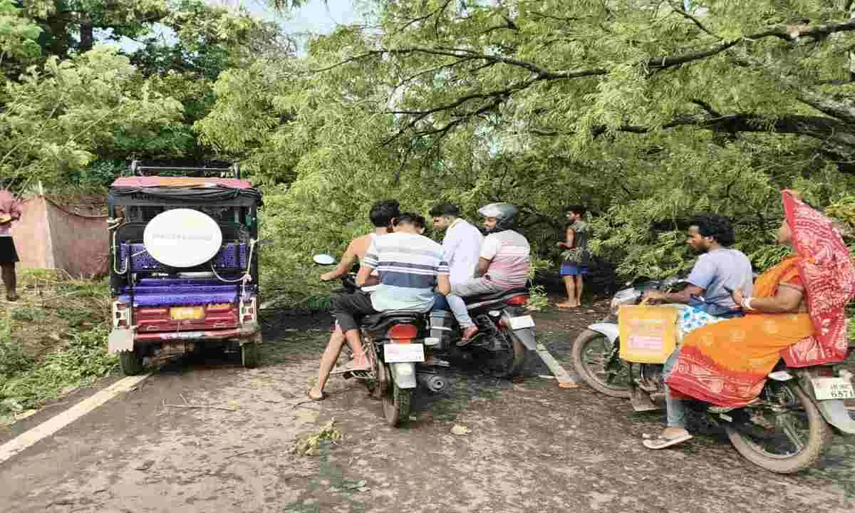 तेज आंधी का कहर: महेशपुर-पाकुड़िया मुख्य पथ पर पेड़ और बिजली के खंभे गिरे, यातायात ठप