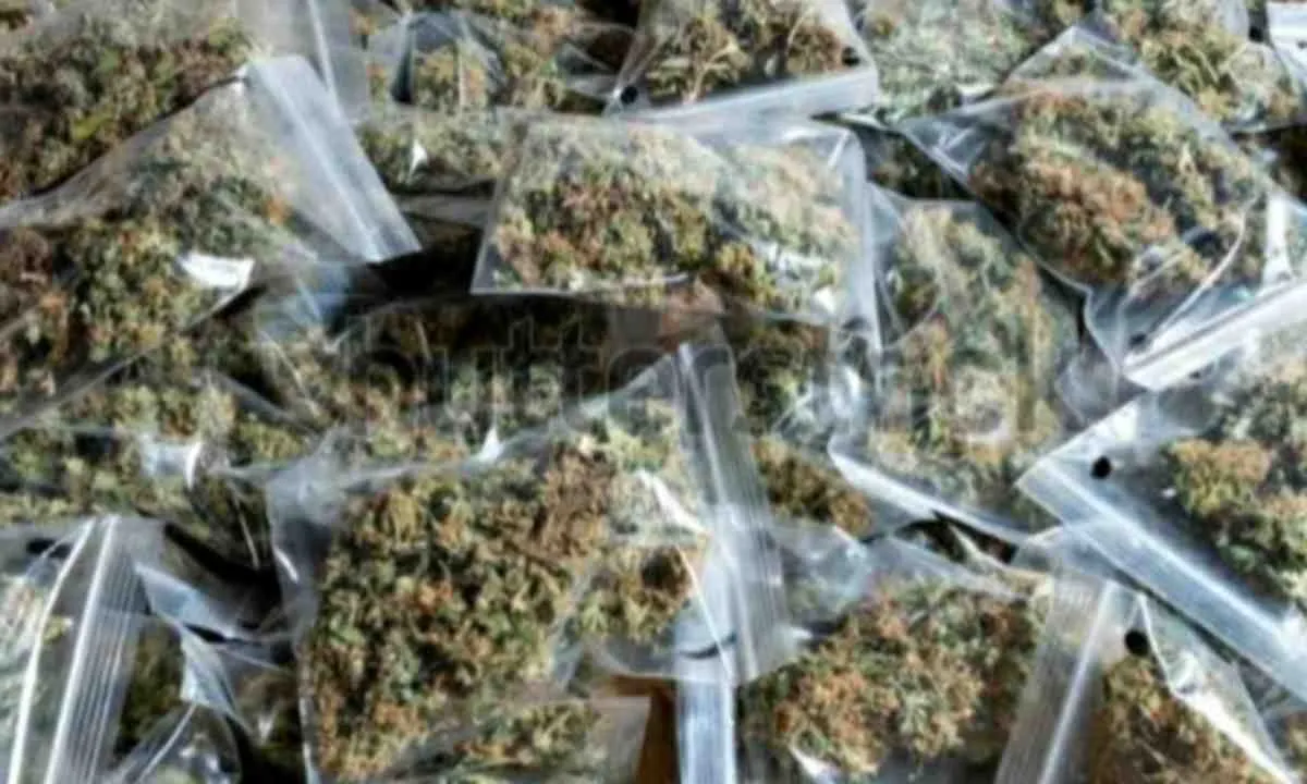 Sahebganj News: फिर सिर उठा रहा नशे का कारोबार, पुलिस की सक्रियता पर सवाल