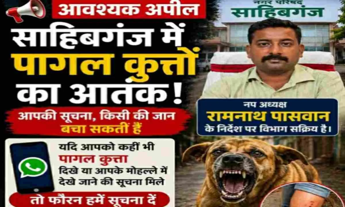 साहिबगंज में पागल कुत्तों का आतंक, पकड़कर देने वाले को मिलेगा ₹2000 इनाम