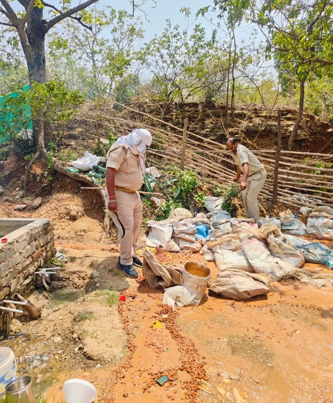 उत्पाद विभाग की बड़ी छापेमारी, अवैध शराब भट्टी ध्वस्त, 2000 किलो जावा महुआ और 90 लीटर शराब जब्त, एक गिरफ्तार
