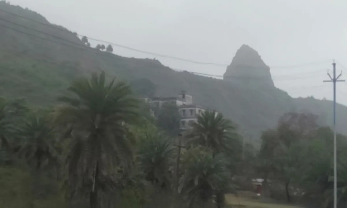 गंगा और डॉल्फिन संरक्षण पर NGT में सुनवाई, अरशद नसर को मिला एक माह का समय