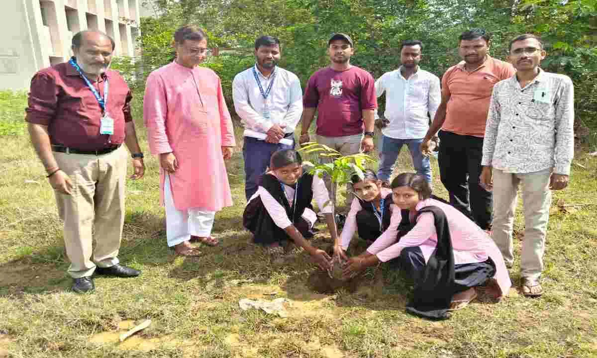 Sahebganj News: मॉडल कॉलेज में पर्यावरण संरक्षण का संदेश, पौधारोपण कार्यक्रम और प्रायोगिक परीक्षा संपन्न