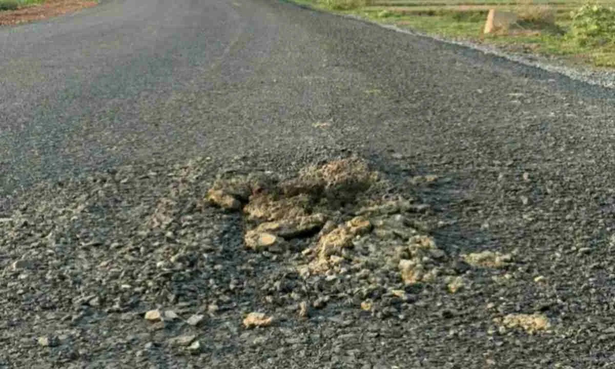 Sahebganj News: 10 दिन में ही दम तोड़ गई पलटनिया रोड, शहर की सड़क पर उठे सवाल  