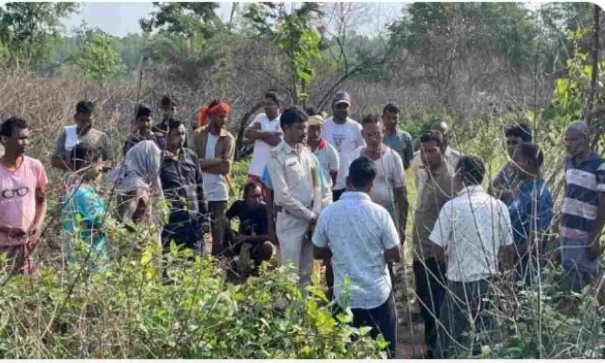 हाथी का कहर! 50 वर्षीय ग्रामीण को कुचला, गुस्साए लोगों ने किया सड़क जाम