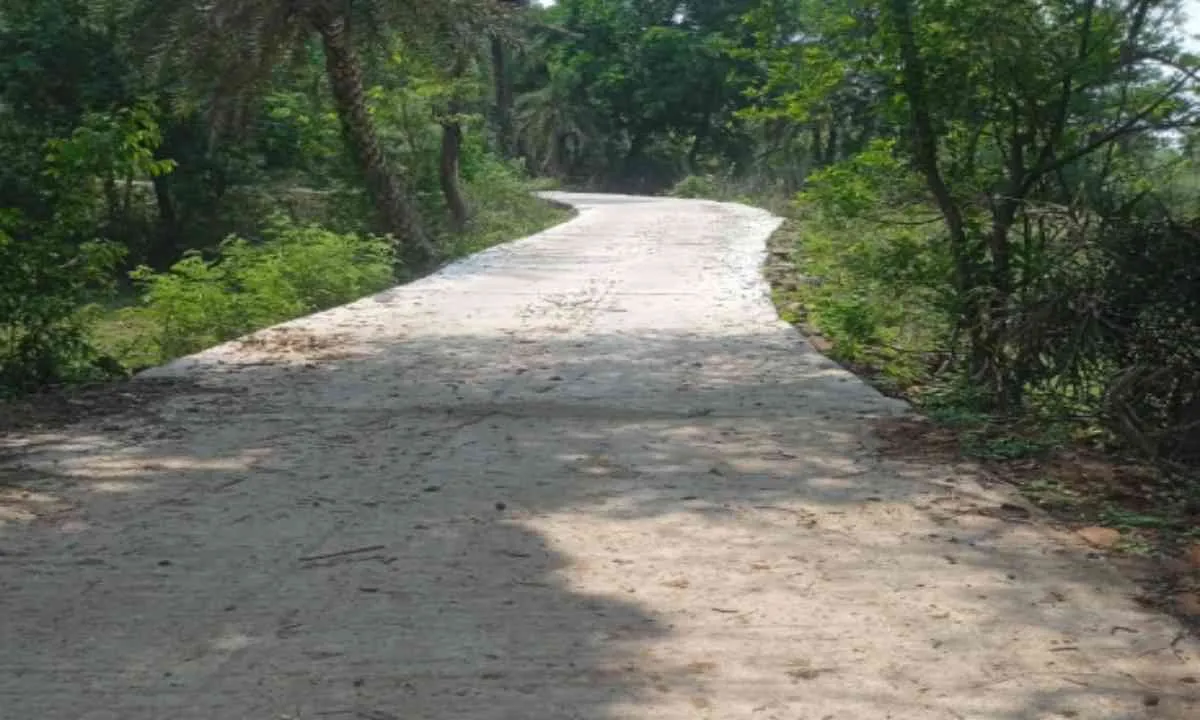 Pakur News: भ्रष्टाचार की भेंट चढ़ी सड़क, फतेहपुर में 6 महीने में ही दम तोड़ने लगी नई पीसीसी सड़क