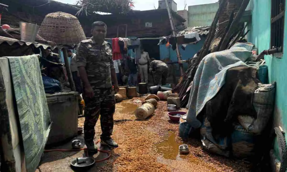 Hazaribagh News: अवैध शराब के विरुद्ध उत्पाद विभाग की सघन छापेमारी, 1200 किलो जावा महुआ विनष्ट