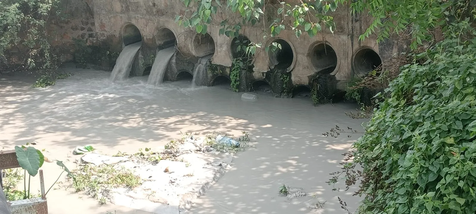 बोकारो थर्मल पावर स्टेशन से फिर दामोदर नदी में प्रदूषण का आरोप, सरयू राय ने मांगी कार्रवाई