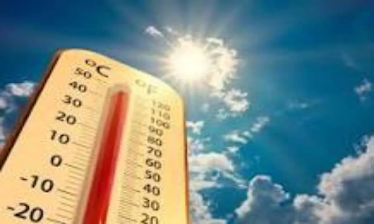 Giridih News: देवरी में 40 डिग्री पार तापमान, गर्मी और बिजली कटौती से ग्रामीण बेहाल