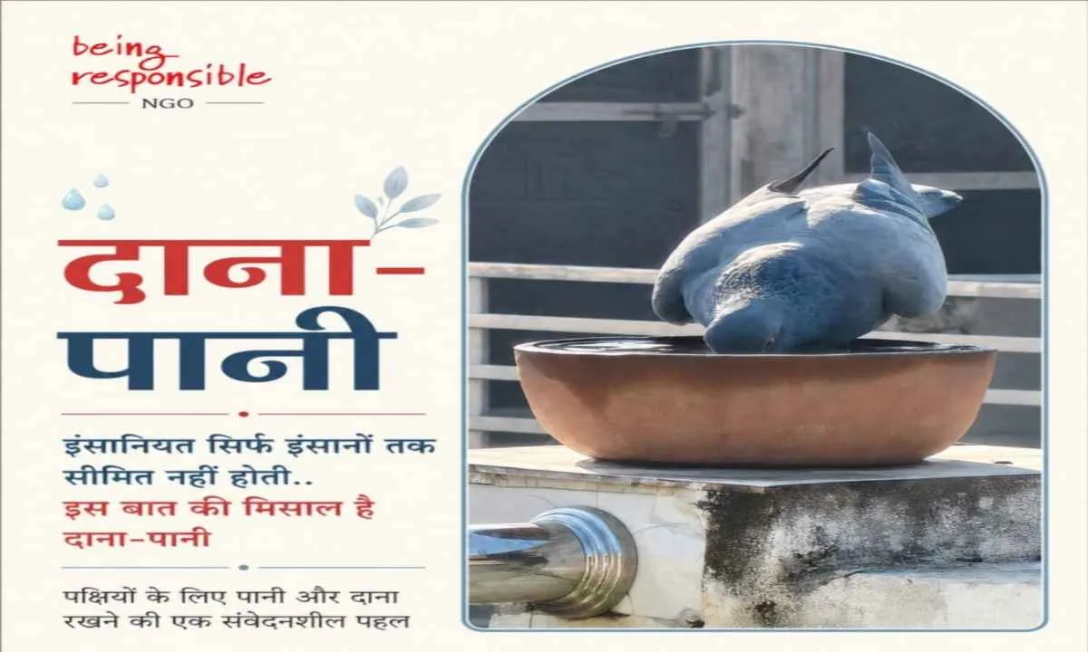 बेज़ुबानों को पिला रहे पानी, इंसानियत की मिसाल बनी “दाना-पानी” पहल