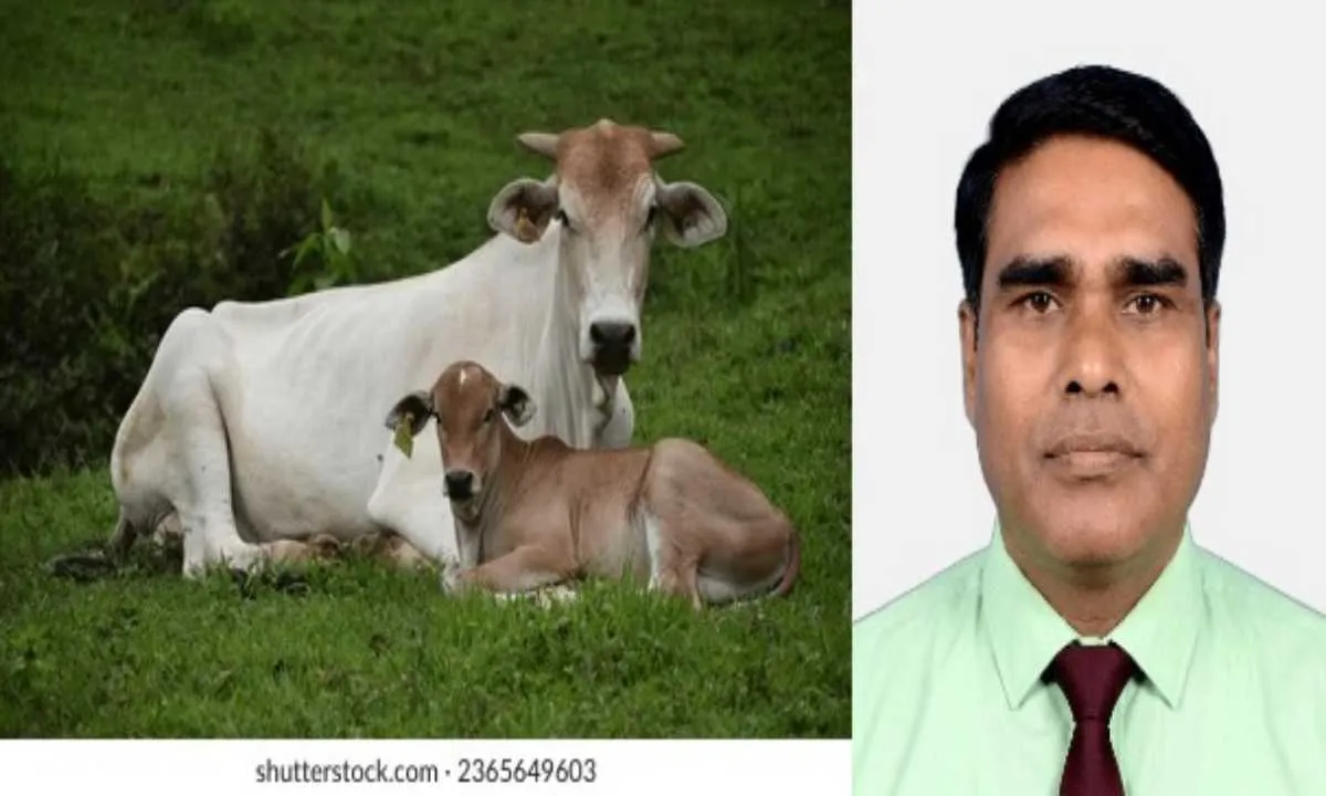 क्या गाय को ‘राष्ट्रीय पशु’ घोषित करना सही होगा? जानिए पक्ष और विपक्ष