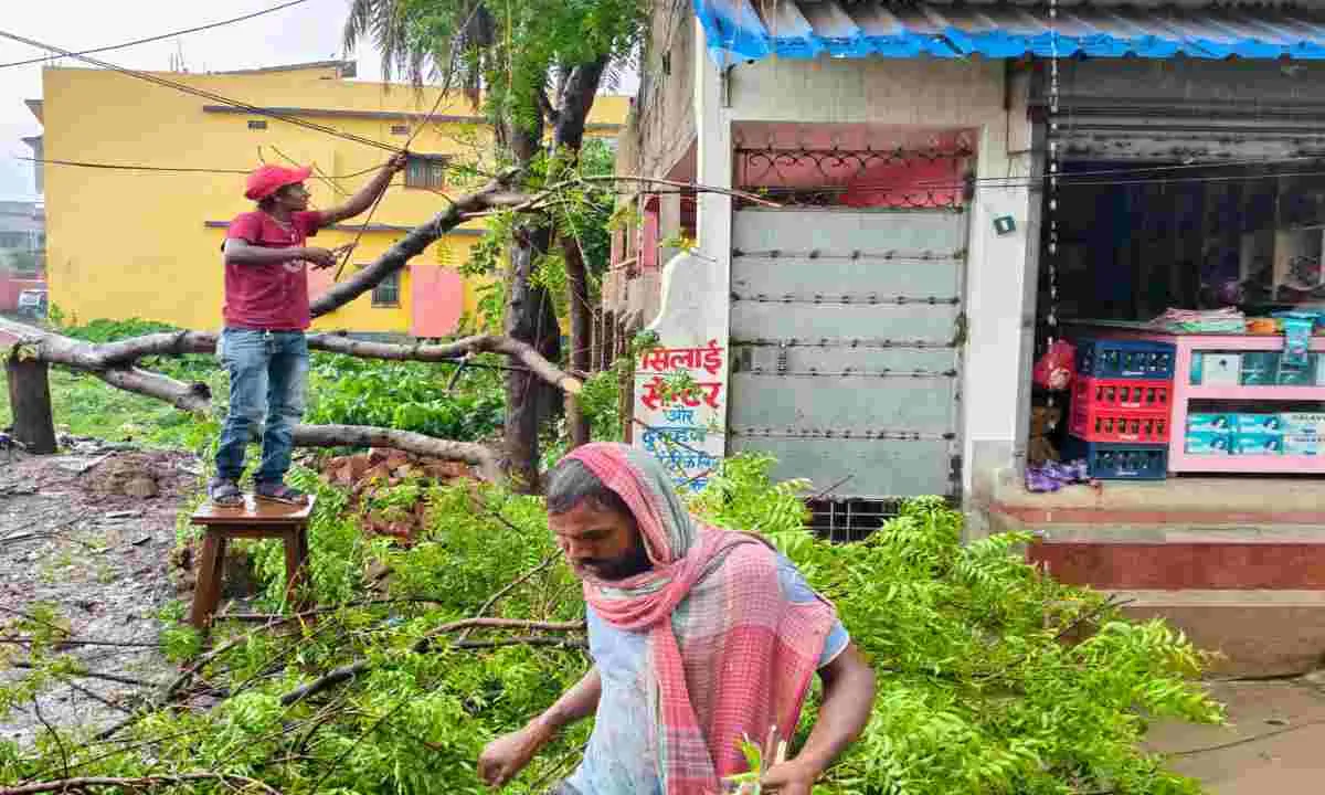 Sahebganj News: आंधी-बारिश का कहर: बिजली के तारों पर गिरा नीम का पेड़, आपूर्ति ठप
