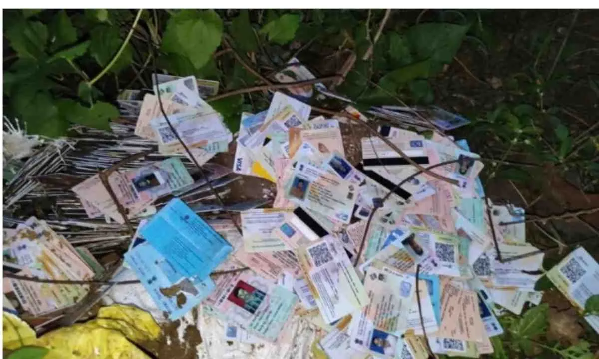 Bokaro News: सेक्टर-6 की झाड़ियों में भारी मात्रा में मिले एटीएम, वोटर आईडी और आधार कार्ड