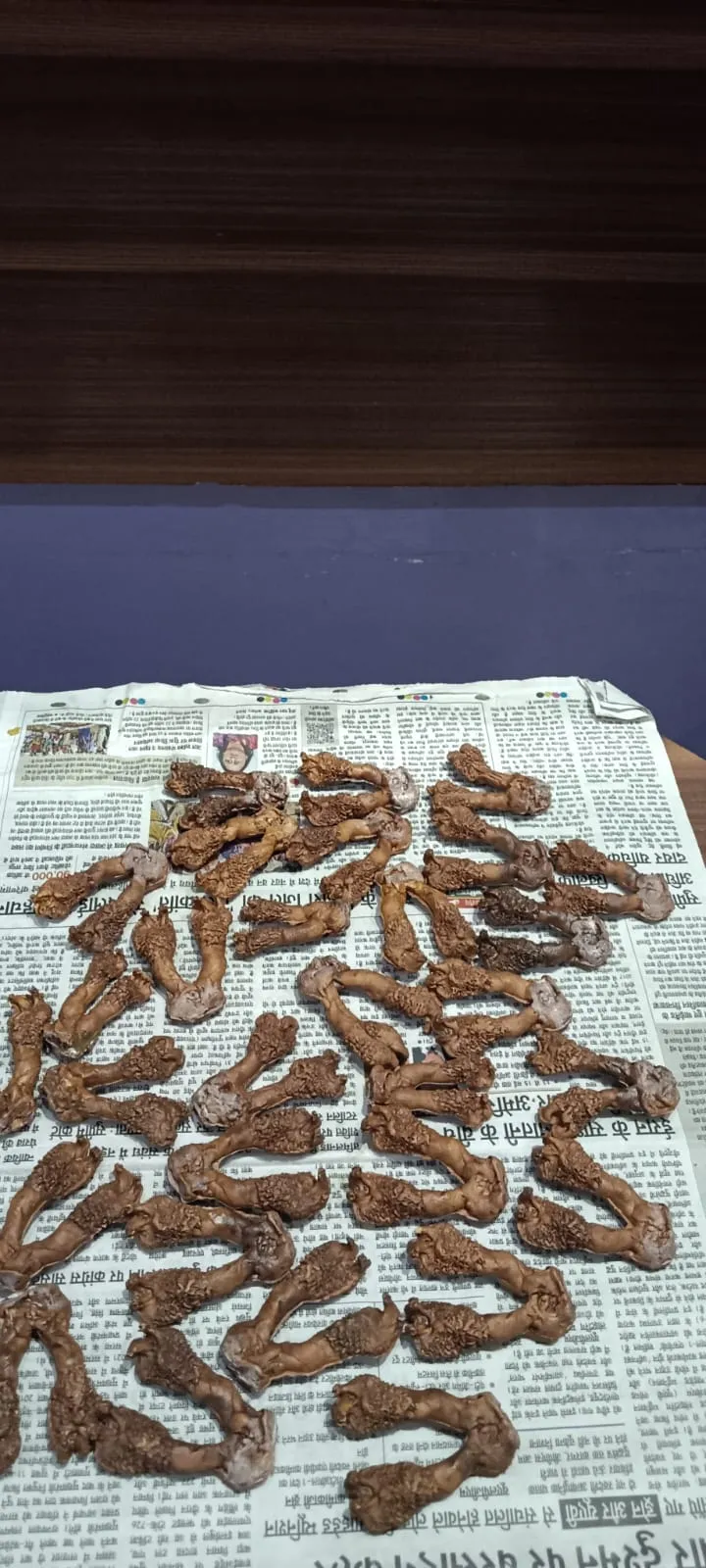 रांची के होटल में वन्यजीव तस्करी का खुलासा, मॉनिटर लिजार्ड से जुड़ी 30 &lsquo;हत्था जोड़ी&rsquo; बरामद 