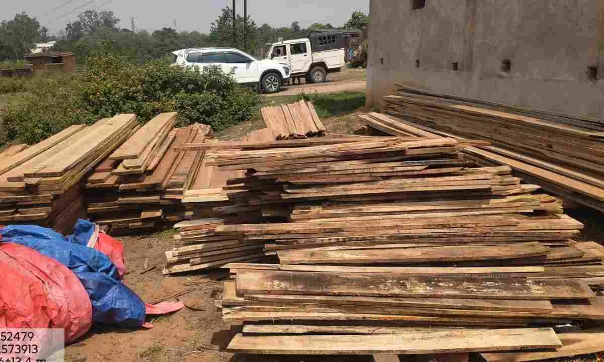 Koderma News: वन विभाग की अब तक की सबसे बड़ी कार्रवाई, एसपी आवास के पीछे घर में चल रहे अवैध लकड़ी गोदाम का भंडाफोड़
