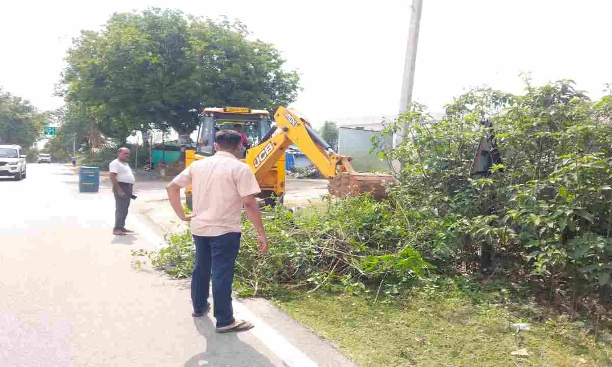 Hazaribagh News: थाना परिसर के आसपास चला सफाई अभियान, जेसीबी से हटाई गई झाड़ियां