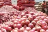 फिर रुलाने लगी प्याज़, राजधानी में कीमत 80 रुपया किलो