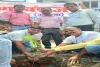 Koderma News: ग्रीन तिलैया क्लीन तिलैया अभियान के तहत झुमरीतिलैया में पौधा रोपण