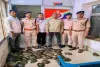 ऑपरेशन WILEP के तहत आरपीएफ ने दून एक्सप्रेस से 78 जीवित कछुए बरामद किए