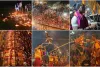 गंगा दशहरा पर साहिबगंज का गंगा तट बना मिनी बनारस, 11 हजार लीटर दूध से महाभिषेक