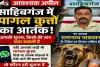 साहिबगंज में पागल कुत्तों का आतंक, पकड़कर देने वाले को मिलेगा ₹2000 इनाम