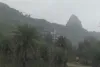 गंगा और डॉल्फिन संरक्षण पर NGT में सुनवाई, अरशद नसर को मिला एक माह का समय
