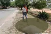 सरिया में बिजली विभाग की बड़ी लापरवाही, हाईटेंशन तार गिरते ही बैल जिंदा जला, मुआवजे की मांग तेज