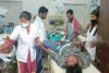Pakur News: दो बाइकों की सीधी भिड़ंत, लिट्टीपाड़ा में दो युवक गंभीर रूप से घायल