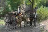 बाघमारा में कोयला माफिया के खिलाफ बड़ा एक्शन: सीआईएसएफ और बीसीसीएल प्रबंधन ने भरे कई अवैध मुहाने