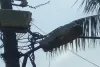 साहिबगंज का वार्ड-26 अंधेरे में कैद: काली मंदिर से हर गली तक बत्ती गुल, वार्डवासियों में आक्रोश